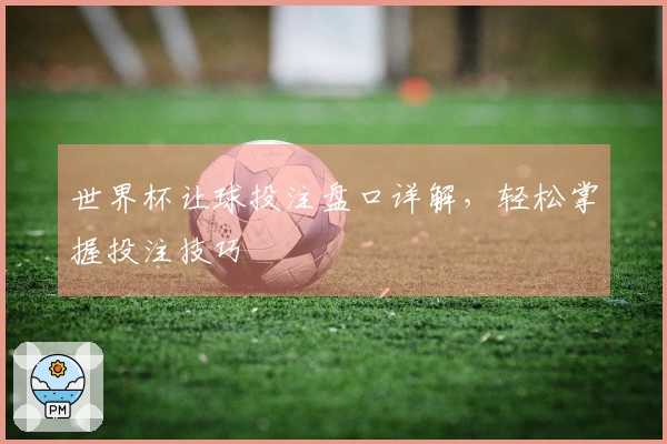 世界杯让球投注盘口详解，轻松掌握投注技巧