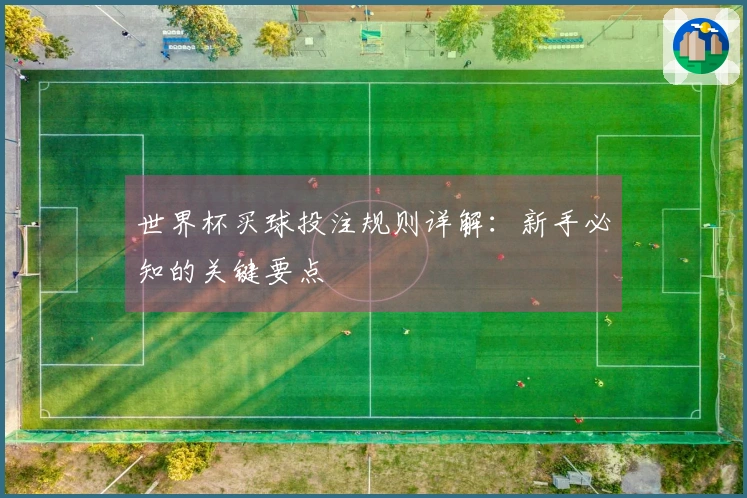 世界杯买球投注规则详解：新手必知的关键要点