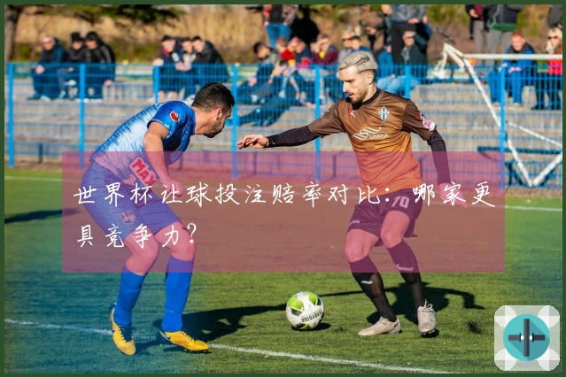 世界杯让球投注赔率对比：哪家更具竞争力？