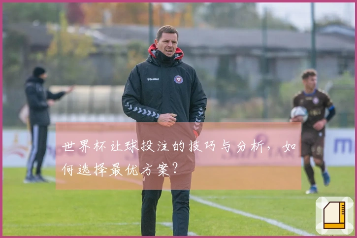 世界杯让球投注的技巧与分析，如何选择最优方案？
