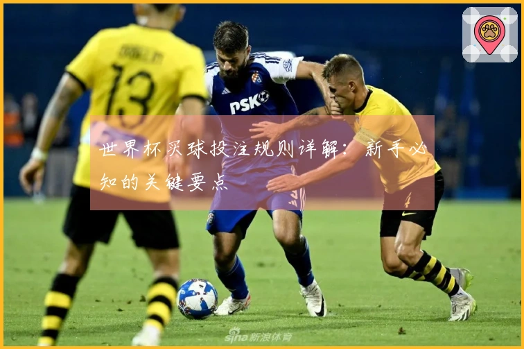 世界杯买球投注规则详解：新手必知的关键要点