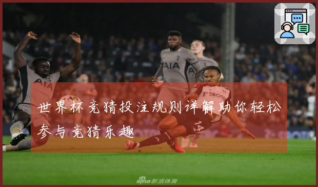 世界杯竞猜投注规则详解助你轻松参与竞猜乐趣