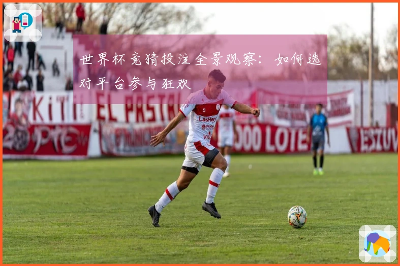 世界杯竞猜投注全景观察：如何选对平台参与狂欢