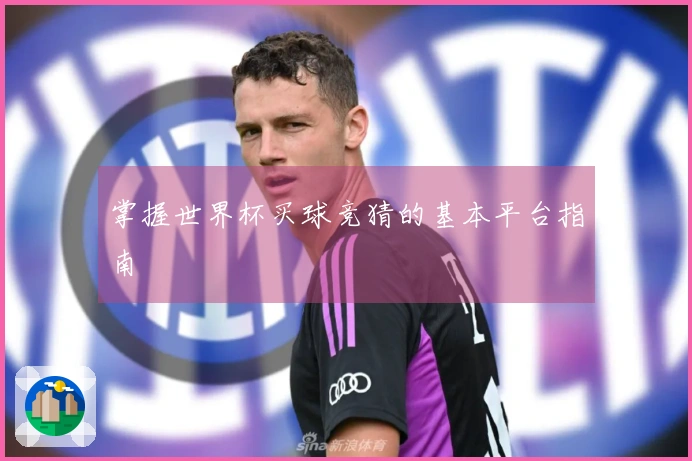 掌握世界杯买球竞猜的基本平台指南